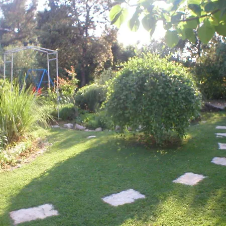 Ivo ויר
