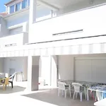 Ivo