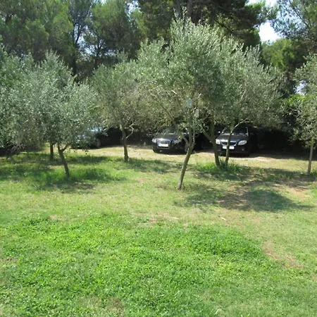 Ivo Apartament *