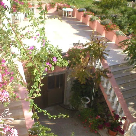Apartament Ivo *
