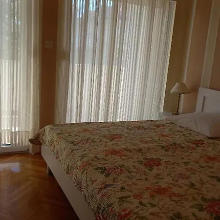 Ivo Apartament *