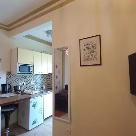 Apartament Ivo *